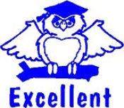 TCI Classmate Excellent Owl Blue
